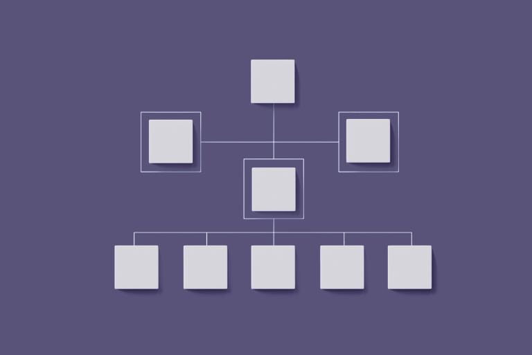 Organisation DSI